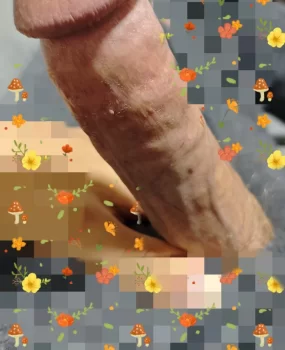 鄂尔多斯鸭子