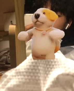 小奶狗大学生,重庆,兼职➕体验生活,会的不多做男友合格